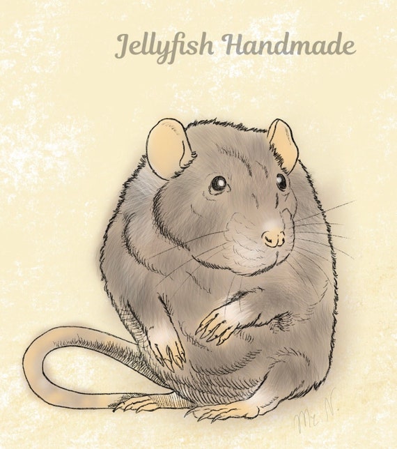 Instant Download Grey Rat Art Rat Painting Mouse Art Rat Etsy