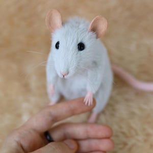 Made to order grey rat, silver rat, stuffed rat, realistic rat figurine, pet rat portrait, soft sculpture, plush mouse, rat replica