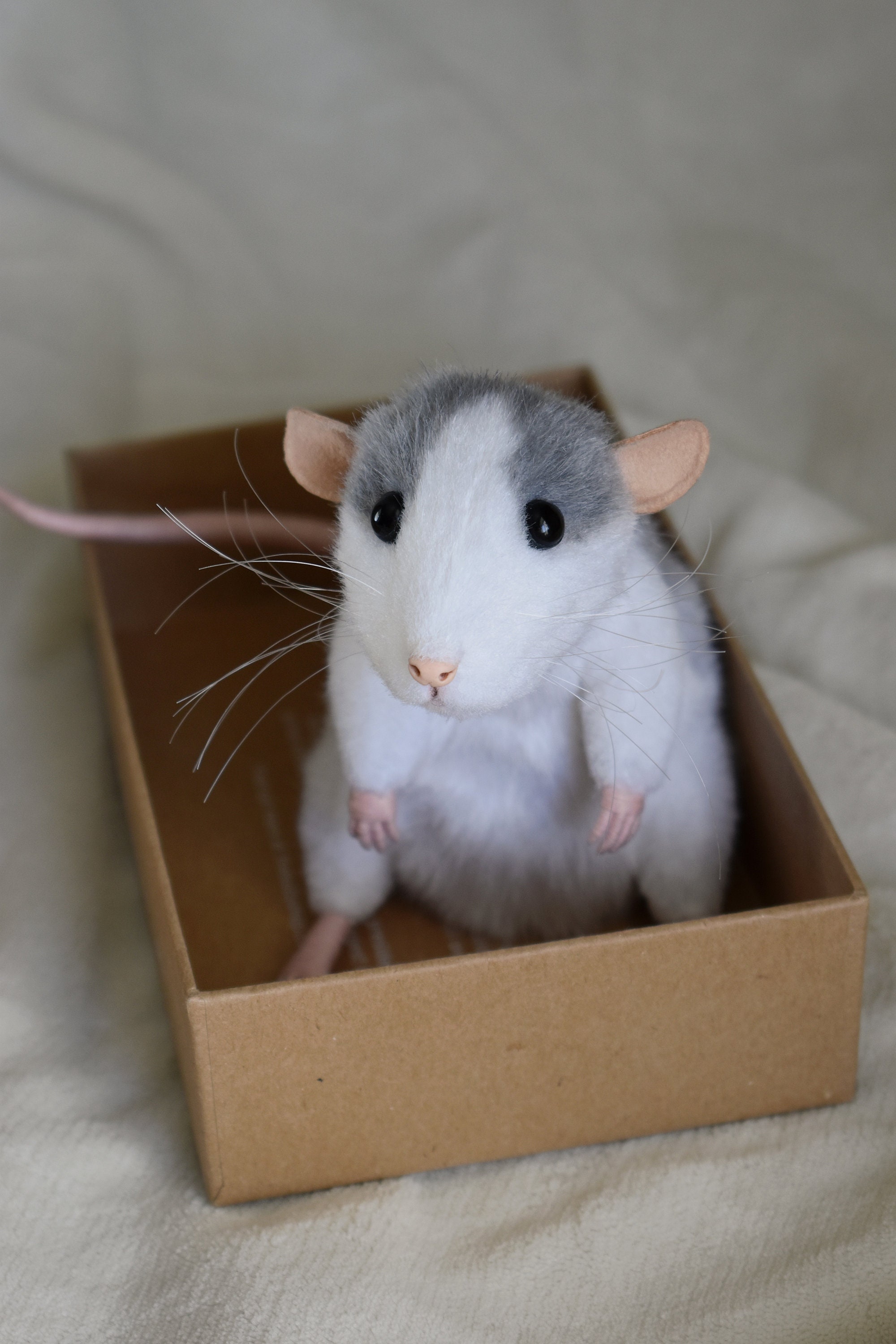 Husky rat cheap