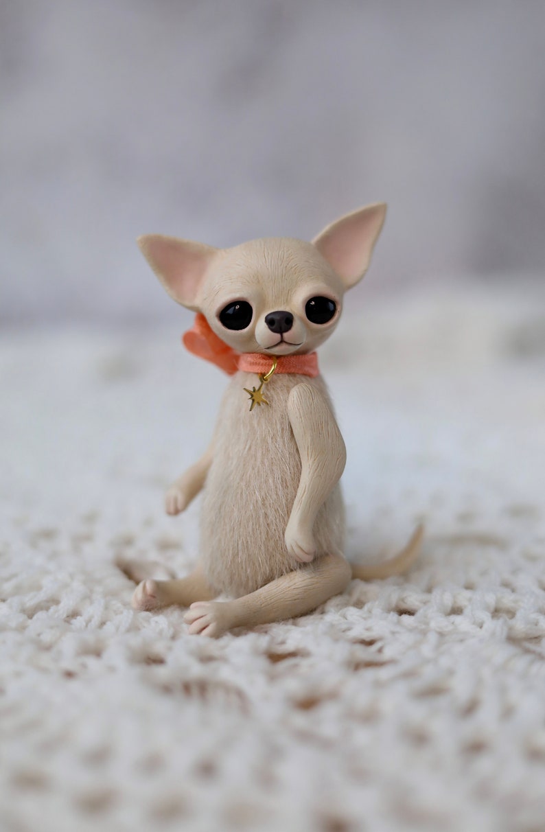 SHINY cream chihuahua puppy, plush puppy, dog portrait, teddy chihuahua, stuffed animal, polymer clay chihuahua, mixed media toy image 5