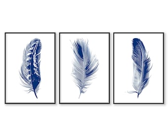 May include: Three framed prints of blue and white feathers on a white background.