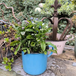 kreher blumenkasten Pflanzkübel 'Millennium' 23 Liter, rechteckig in Anthrazit – Kreher Technik main image 0