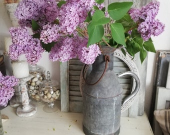 Rangliste der besten Garten krug