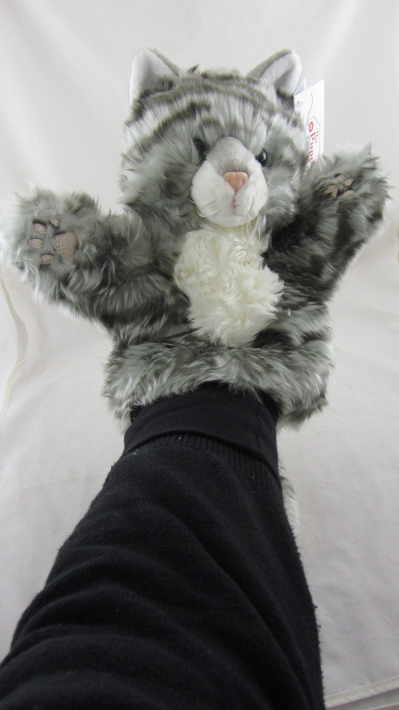 tabby cat puppet