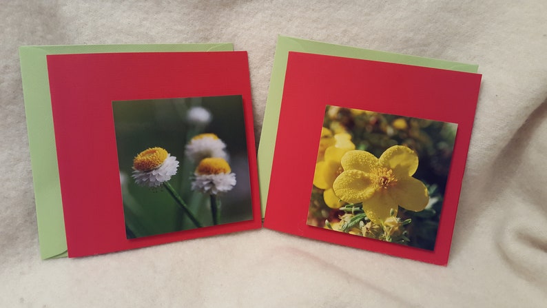 GARDEN 2 Blumenkarten XL mit Originalfotos Bild 1