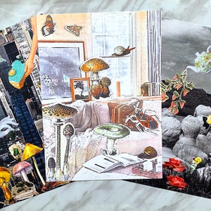 Lot de 3 Spécial ! Cottagecore collage estampes ensemble complet remise, esthétique lo-fi, champignons surréalistes escargots histoire naturelle art déco
