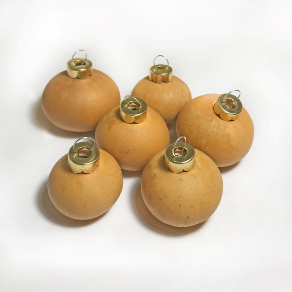 Box of 10 Gourd Ornaments, Dried and Cleaned