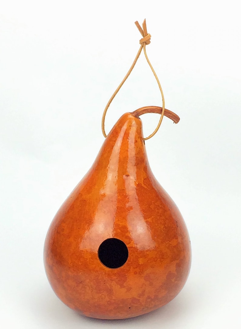Gourd Birdhouse Amish Made Etsy
