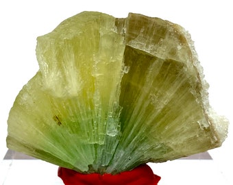 260 Carat Beautiful Flower Shape ARAGONITE Crystal Specimen From Afghanistan @..Size : 45x32x23 mm