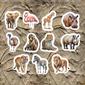 Safari Animal Stickers, Set of 22 Stickers, Safari Stickers, Animal Stickers, Wildlife Stickers, Rhino, Lion, Ostrich, Giraffe, Zebra, Tiger