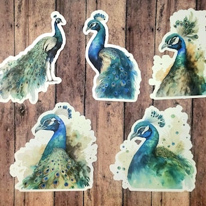 Watercolor Peacock, Set of 20 Stickers, Sticker, Journal Sticker, Die Cut Stickers, Bird Stickers, Peacock Stickers