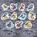 Colorful Bird Stickers, Set of 22 Stickers, Bird Stickers, Birds, Baby ...