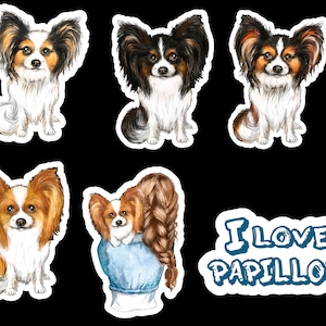 Stickers Papillon - Boutique Stickers en ligne