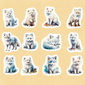 Arctic Fox Set of 24 Stickers, Sticker, Journal Sticker, Die Cut, Cute Stickers, Adorable Stickers