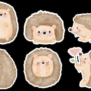 Hedgehog, Set of 24 Stickers, Sticker, Journal Sticker, Die Cut Stickers, Porcupine, Watercolor, Kawaii, Chibi, Animal Sticker