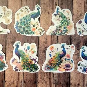 Peacock, Set of 24 Sticker, Sticker, Journal Sticker, Die Cut Stickers, Watercolor Sticker, Colorful Floral Peacock, Peacocks