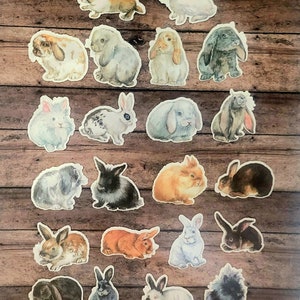 Bunny Rabbit Stickers, Set of 22 Stickers, Sticker, Journal Sticker, Die Cut Stickers, Hare, Easter Stickers, Watercolor Stickers