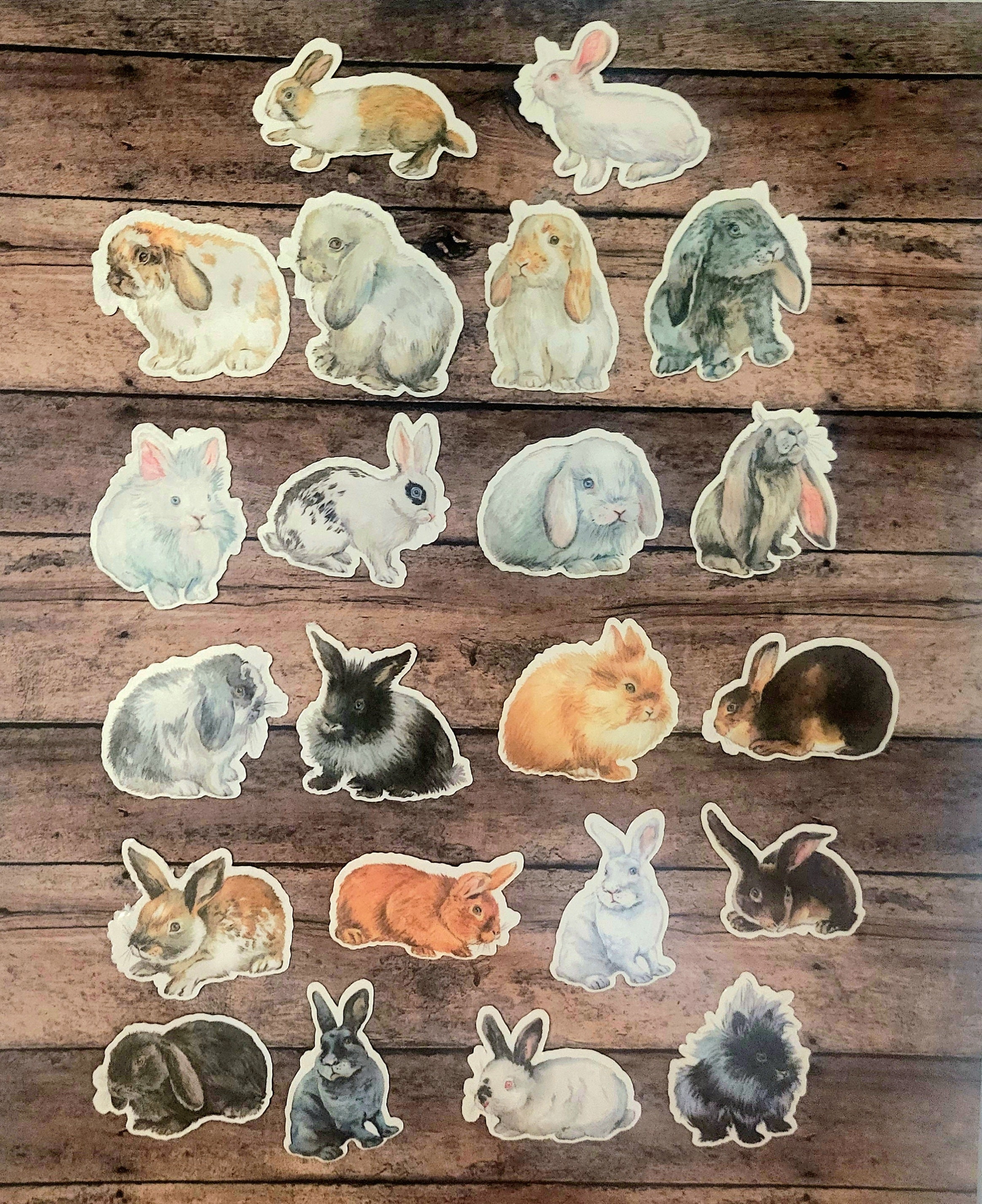 Bunny Rabbit Stickers, Set of 22 Stickers, Sticker, Journal Sticker, Die Cut Stickers, Hare, Easter Stickers, Watercolor Stickers