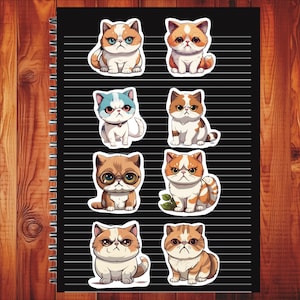 Kawaii Exotic Shorthair Cat, Set of 24 Stickers, Sticker, Journal Sticker, Die Cut Sticker, Cartoon Cat Sticker, Baby Kittens