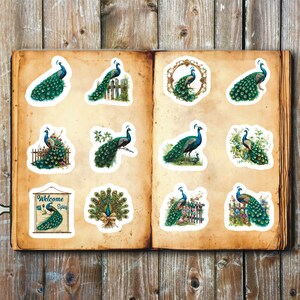 Peacock Stickers, Set of 24 Stickers, Green Sticker. Green Peacock Stickers, Peacocks, Floral Stickers, Floral Peacock Stickers,