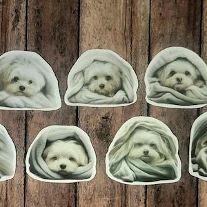 Maltese Dog Magnets, Decorative Magnets, Dog Magnets, Kawaii Puppy Magnets, Dog Decor Magnets, Fridge Magnets, Maltese Dogs