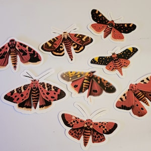 Red Tiger Moth Stickers, Set of 24 Stickers, Sticker, Journal Sticker, Die Cut Sticker, Moth Sticker, Tiger Moth, Red Moth, Moths
