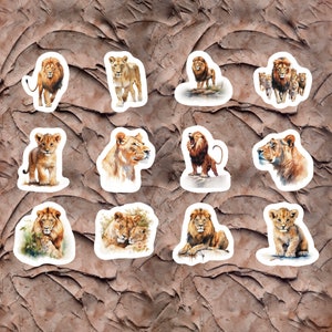 Lion Pride Stickers, Set of 24 Stickers, Animal Stickers, Jungle Stickers, Safari Animal Stickers, Wildlife Stickers, Lion Stickers, Lions