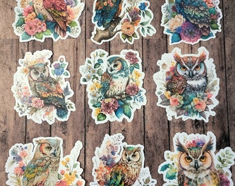 Floral Owl, Set of 27 Stickers, Sticker, Journal Sticker, Die Cut Stickers, Boho Owl, Barn Owl, Animal Sticker