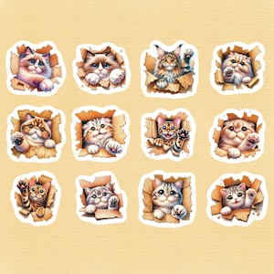 Cats in Box Set of 24 Stickers, Sticker, Journal Sticker, Die Cut, Cat Stickers, Kitten Stickers