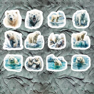 Polar Bear Stickers, Set of 24 Stickers, Bear Stickers, Baby Bear Sticker, Cute Bear Stickers, White Bear Stickers, Bears, Polar Bears
