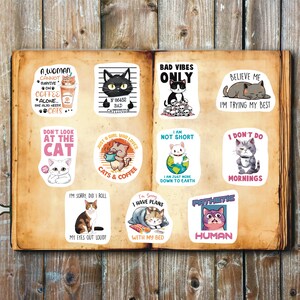 Cat Sayings Stickers, Set of 22 Stickers, Journal Sticker, Die Cut Sticker, Cute Cat sticker, Black Cat Stickers, Cat Stickers, Cat Vibes