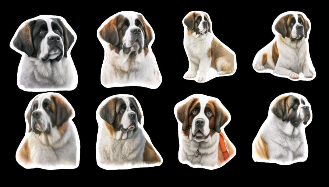 Saint Stickers | Unique Designs