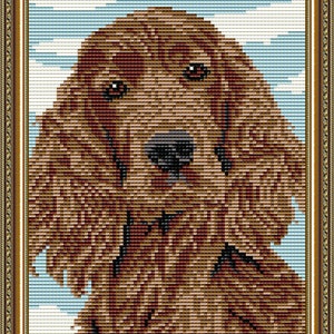 May include: A brown and white dog with floppy ears and a sweet expression. The dog is looking directly at the viewer. The background is a light blue sky with white clouds.