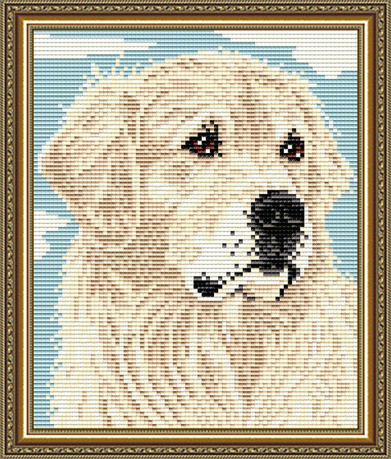 DIY Diamond Painting Kit Dog Golden Retriever, Full Square Drill Diamond  Embroidery Kit 5D Rhinestones Painting Kit for Adults and Kids 