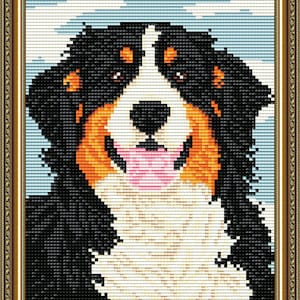 May include: A framed cross-stitch portrait of a Bernese Mountain Dog. The dog has black, white, and orange fur, with a pink tongue. The background is a light blue sky. The frame is gold.