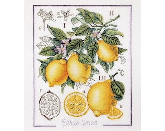 Cross Stitch Kit Lemon, Modern Embroidery Kit, Botanical Counted cross stitch full kit, Art crafts kit, Needlepoint kit