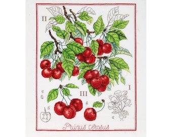 Cross Stitch Kit Cherry, Modern Embroidery Kit, Botanical Counted cross stitch full kit, Art crafts kit, Needlepoint kit