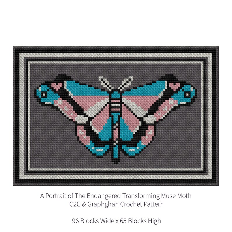 Graphghan Design A Portrait of the Endangered Transforming Muse Moth C2C & Graphghan ...