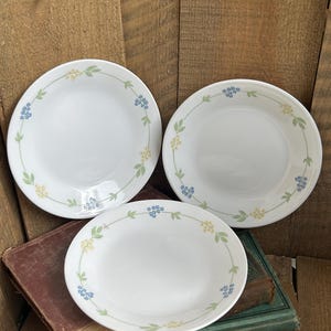 May include: Three white ceramic plates with a floral design. The plates have a border of blue and yellow flowers with green leaves. The plates are stacked on top of old books with a wooden background.