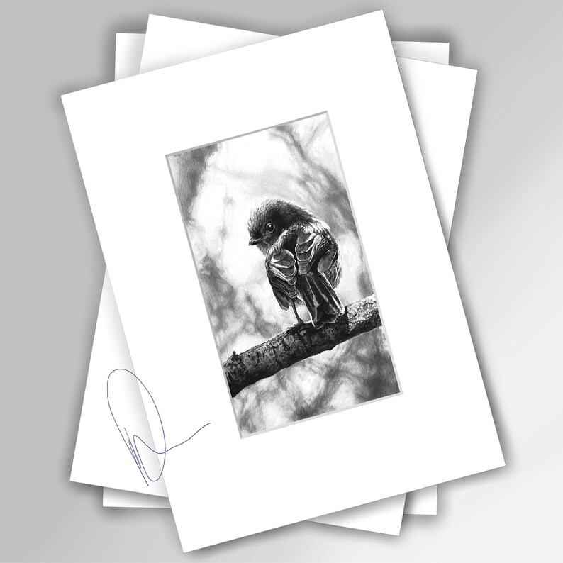 British Wildlife Collectors' Edition Giclee Prints image 2