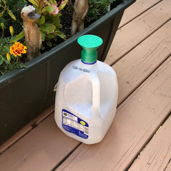 Upcycle Your Gallon Milk Jug into a Watering Can