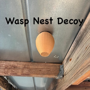Decoy Wasp Nest - Stop Wasps from Building Nests Around Your House!