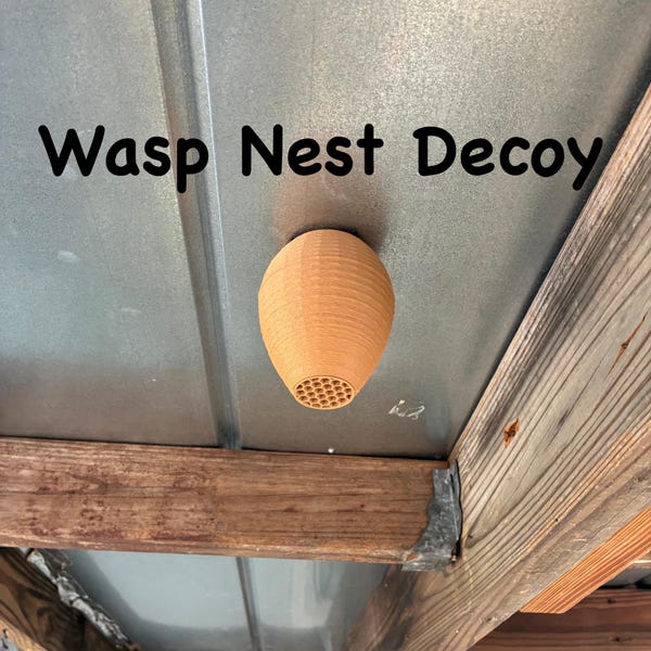 Decoy Wasp Nest - Stop Wasps from Building Nests Around Your House!