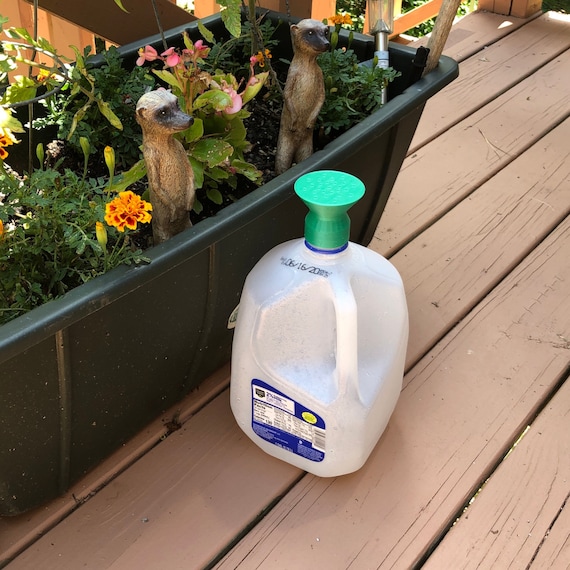 Recycle Your Gallon Milk Jug Into a Watering Can Etsy