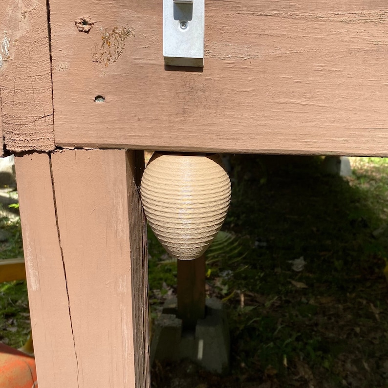 Decoy Wasp Nest Stop Wasps from Building Nests Around Your House image 8