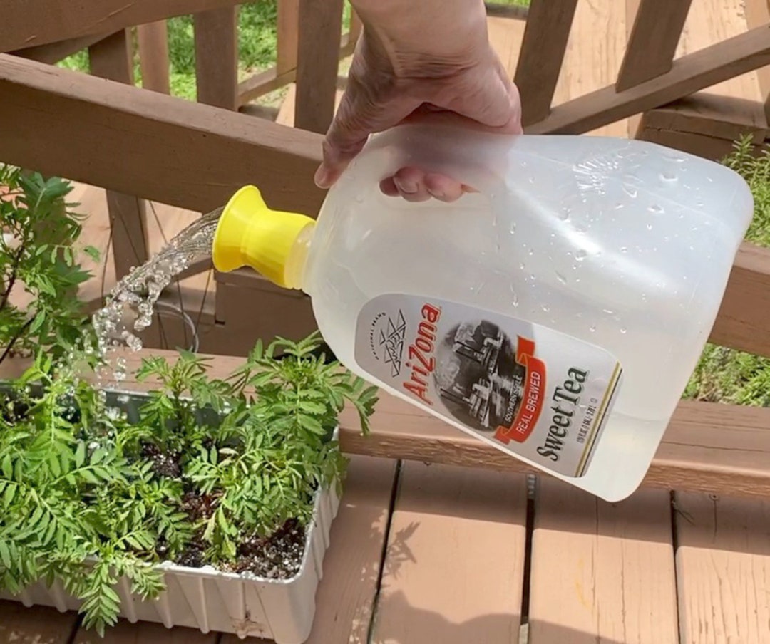 Arizona Tea and Others Gallon Jug Watering Spout Repurpose, Recycle Etsy