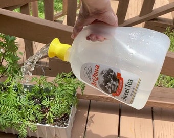 May include: A clear plastic Arizona Sweet Tea container with a yellow spout is watering green plants. The jug has a white label with the Arizona logo and the words "Sweet Tea". The plants are in a white rectangular planter.