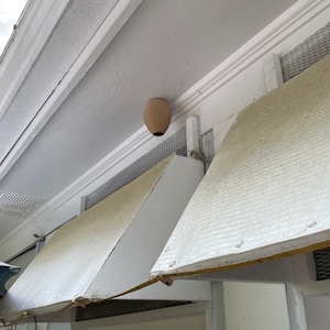 Decoy Wasp Nest Stop Wasps from Building Nests Around Your House image 9