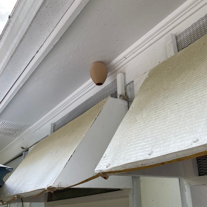 Decoy Wasp Nest Stop Wasps from Building Nests Around Your House image 9