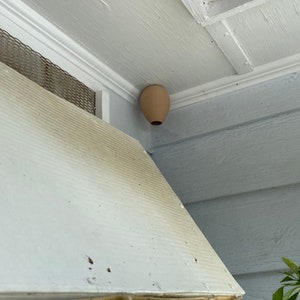 Decoy Wasp Nest Stop Wasps from Building Nests Around Your House image 4